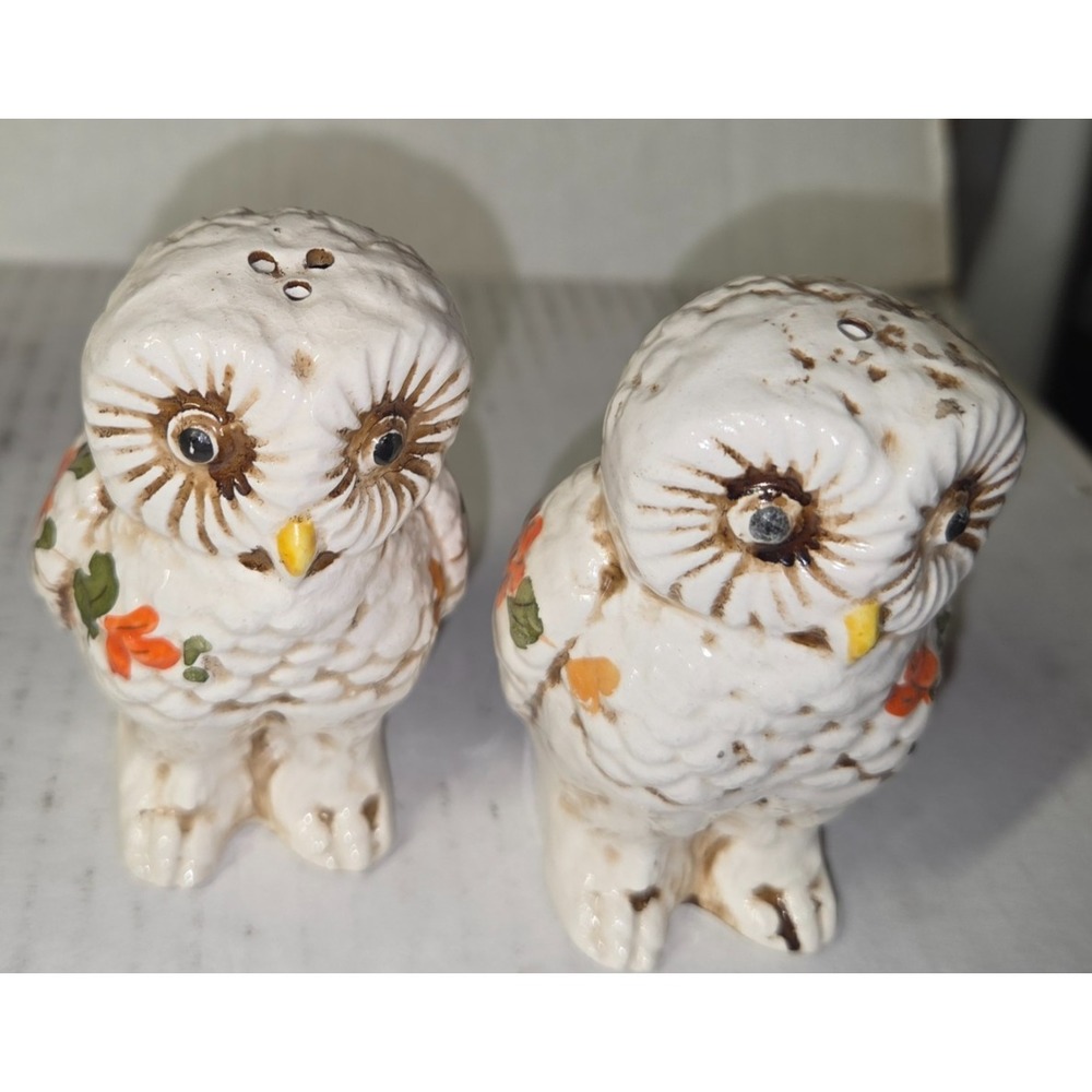 Vintage Ceramic Owl Salt+Pepper Shaker - Hand-painted Floral and Feathers